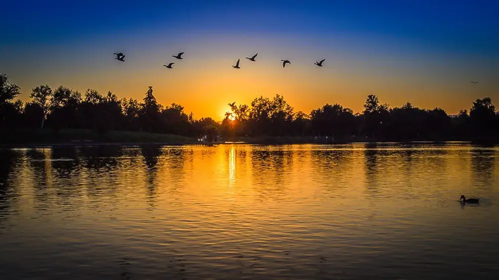 lake sunset